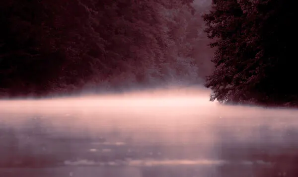 Misty Winter Morning, wall art by Foto Tinca