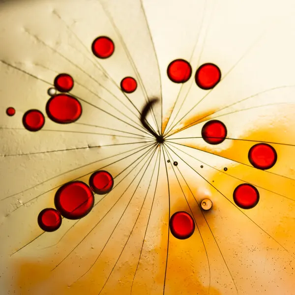 Red Dandelion Droplets, wall art by Ileana Bosogea-Tudor