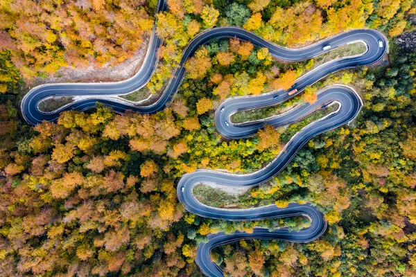 Winding Autumn Road, wall art by Eros Erika