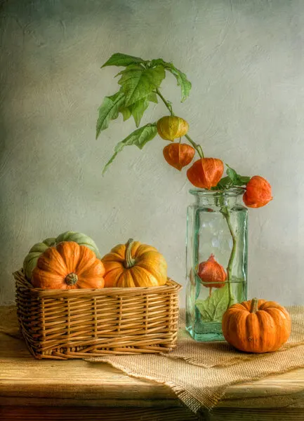 Autumn, wall art by Mandy Disher