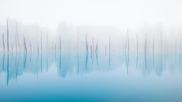 Misty Blue Reflections, wall art by Hidenori Sono