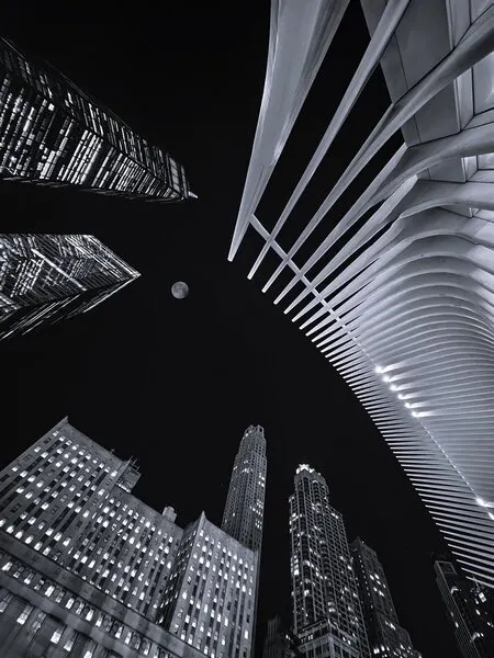 City Night Moon, wall art by Jasmine Zhang