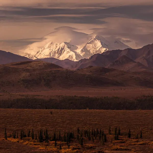 Majestic Denali Landscape, wall art by Yu Mao