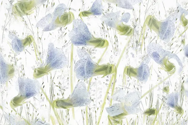 Violets wallpaper, wall art by Nel Talen