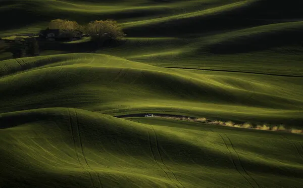 Rolling Hills Dusty Road, wall art by David Guo