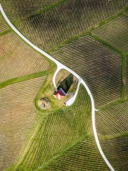 Winding Road Through Vineyards, wall art by Joško Šimic