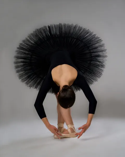 Graceful Ballerina Pose, wall art by Aneta Nikolova