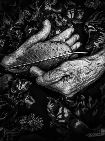 Aged Hands Holding Leaf, wall art by Ingrida Urbonavičienė