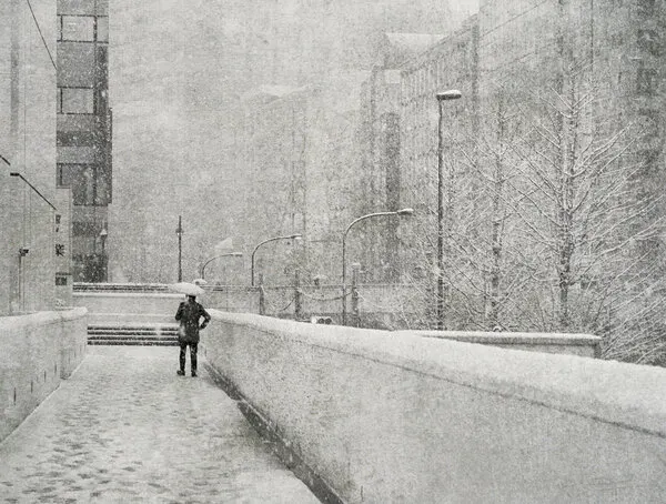 Solitary Winter Walk, wall art by Yasuhiro Takachi