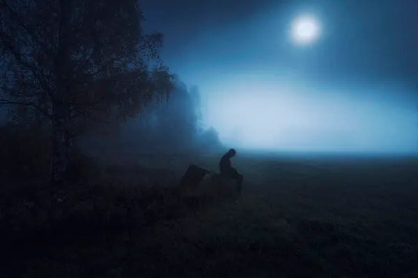Solitary Moonlit Fog, wall art by Mika Suutari