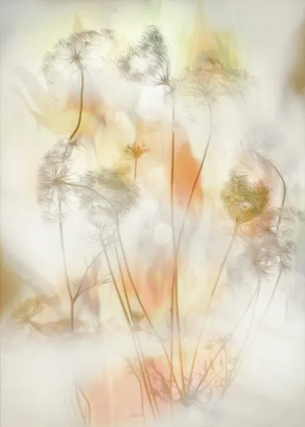 Soft Floral Dreams, wall art by Hilda van der Lee