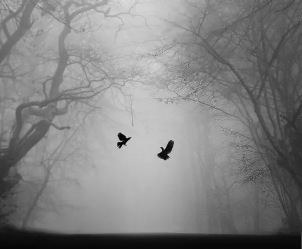 Birds in Foggy Forest, wall art by Martin Wong