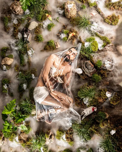 Man in Plastic Nature, wall art by Hooman Sedaghi