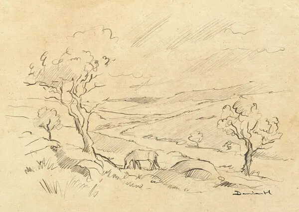 Dartmoor Pony, wall art by Dan Hobday