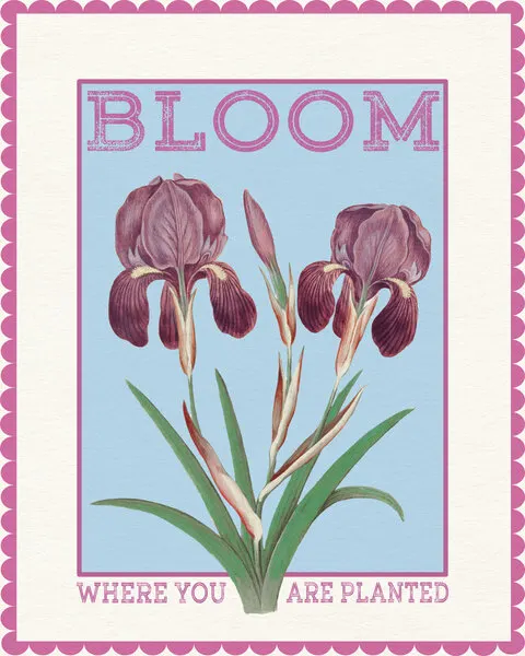 Purple Irises Bloom Quote, wall art by Wild Violets