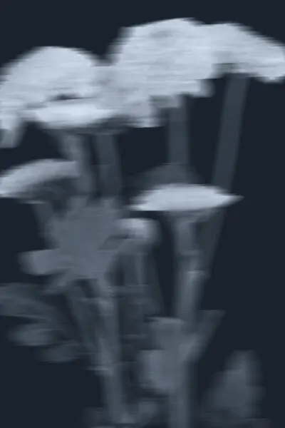 Ethereal Blue Blooms, wall art by THE MIUUS STUDIO