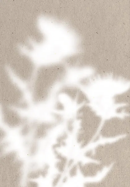 Soft Botanical Shadows, wall art by THE MIUUS STUDIO