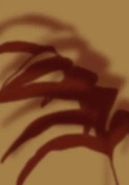 Warm Light Plant Shadow, wall art by THE MIUUS STUDIO