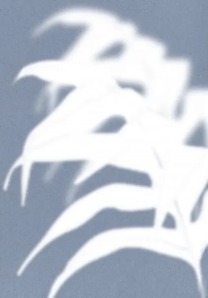Tropical Shadow Play, wall art by THE MIUUS STUDIO
