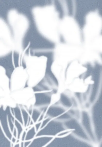 Ethereal Floral Silhouettes, wall art by THE MIUUS STUDIO