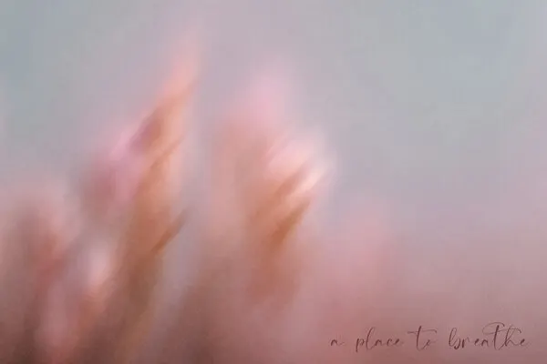 Soft Pink Dream, wall art by Treechild