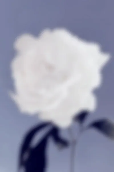 Blurred White Bloom, wall art by Pictufy Studio III