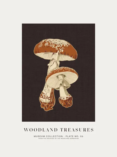 Woodland Treasures Mushrooms, wall art by Alexandra Weise