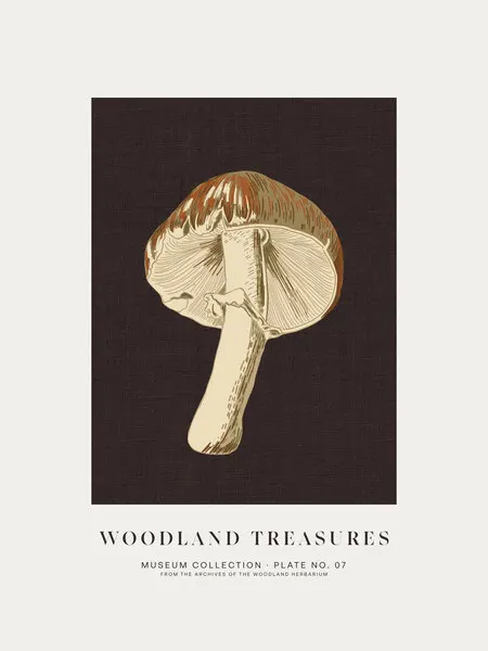 Vintage Botanical Mushroom, wall art by Alexandra Weise